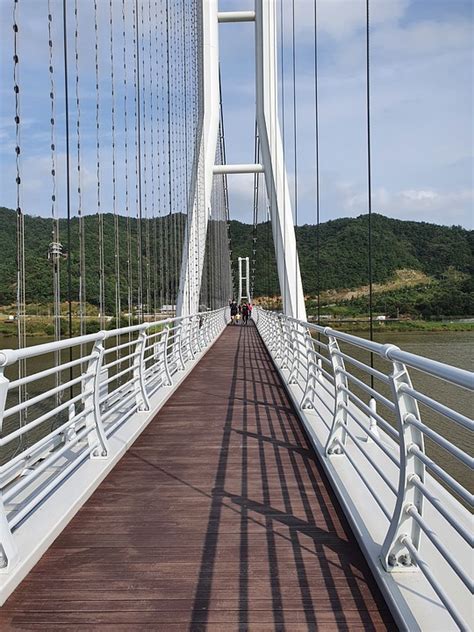  밀면의 매력에 빠지다: 시원하고 탱글탱글한 쫄깃함을 자랑하는 경북 상주 특선!