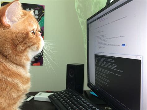 webサービス 開発 猫がコードを書く未来は来るのか？