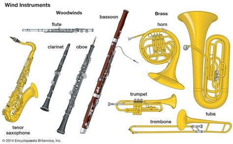 吹奏楽 楽器診断 - あなたの音色はどの楽器に宿るのか？